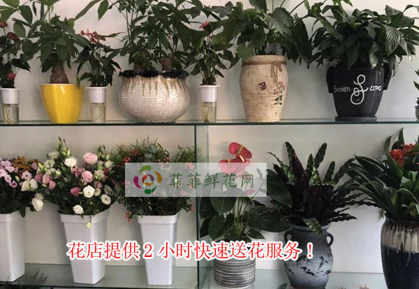 蚌埠淮上区花店提供蚌埠淮上区2小时快速送花服务