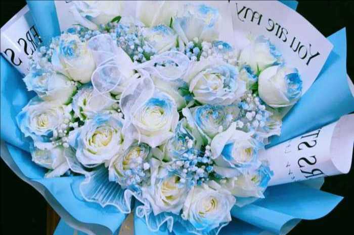 蚌埠淮上区花店 蚌埠淮上区花店